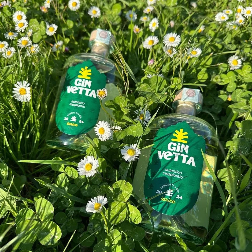 Gin Vetta 2