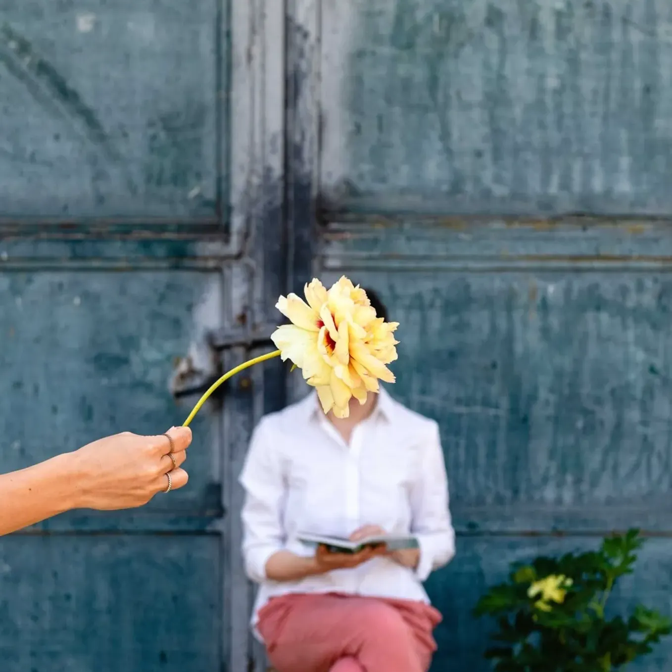 Bottega Botanica
